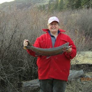 Meet your Posher, Donna